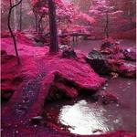 The famous'' Rosa Moss Bridges", Ireland.